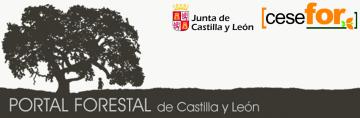 PORTAL FORESTAL DE CASTILLA Y LEÓN    